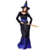 Blue Black Maxi Dress Witch Cosplay Costume Halloween/Stage Performance/Party -Procosplayshop 10406233397 1734513592