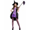Sexy Purple Swallowtail Tutu Dress Witch Costume Halloween/Stage Performance/Party