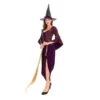 Classic Purple Witch Cosplay Costume Halloween/Stage Performance Party -Procosplayshop 4538681421 1734513592