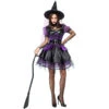 Deluxe Purple Muslin Tutu Dress Witch Costume Halloween/Stage Performance/Party -Procosplayshop 9191495264 1734513592