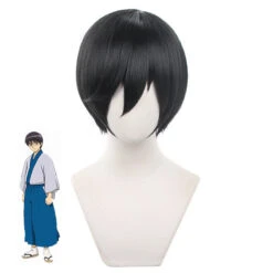 Anime Silver Soul/Gintama Shimura Shinpachi Costume Wigs Black Short Wigs